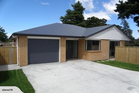 Photo of property in 85b Oxford Street, Lansdowne, Masterton, 5810