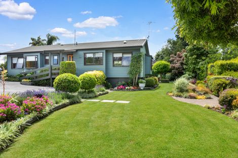 Photo of property in 50 Stirling Drive, Morrinsville, 3300