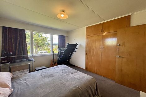 Photo of property in 18 Brook Street, Renwick, 7204