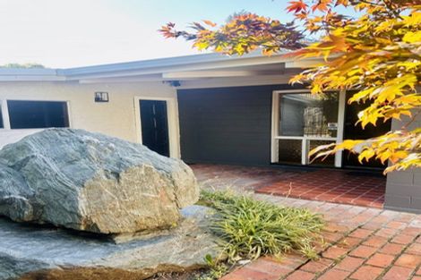 Photo of property in 25 Brydon Street, Renwick, 7204