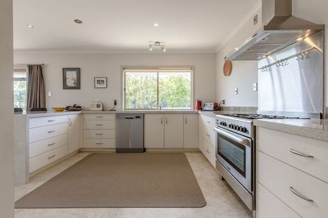 Photo of property in 114 Parekaawa Drive, Motuoapa, Turangi, 3382