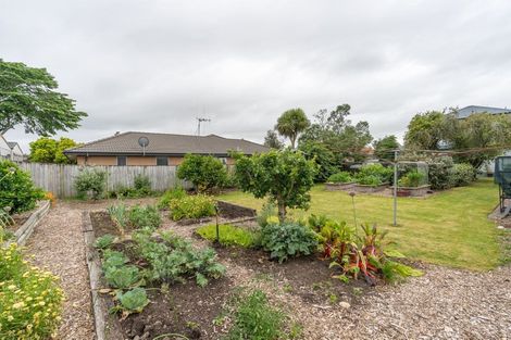 Photo of property in 328 Cambridge Road, Hillcrest, Hamilton, 3216