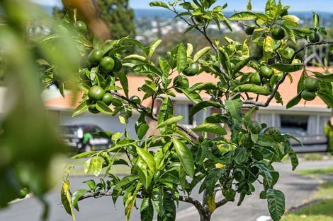 Photo of property in 34 Redmond Street, Judea, Tauranga, 3110