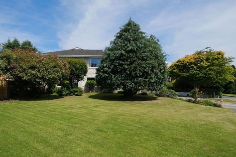 Photo of property in 8 Windsor Place, Mosgiel, 9024