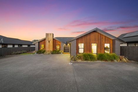Photo of property in 87 Turnbull Drive, Witherlea, Blenheim, 7201