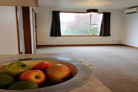 Photo of property in 564 Birchs Road, Lincoln, 7608