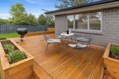 Photo of property in 1360 Napier Road, Ashhurst, 4810