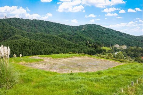 Photo of property in 960c Whangaripo Valley Road, Whangaripo, Wellsford, 0972