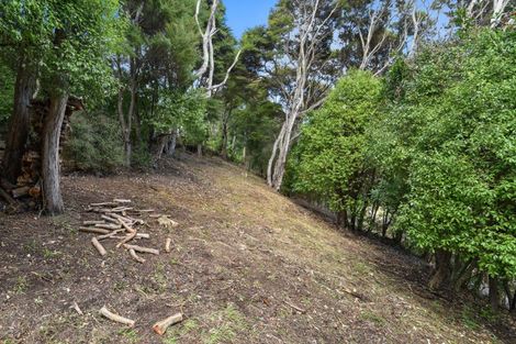 Photo of property in 2 Treetop Drive, Portobello, Dunedin, 9014