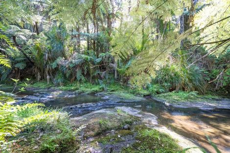 Photo of property in 413 Henderson Valley Road, Henderson Valley, Auckland, 0612