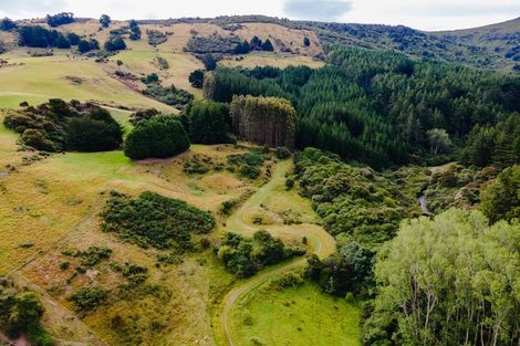 Photo of property in 191 Norwood Street, Normanby, Dunedin, 9010