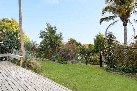 Photo of property in 33 Collingwood Street, Judea, Tauranga, 3110