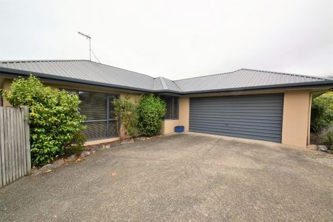 Photo of property in 15 Appaloosa Avenue, Richmond, 7020