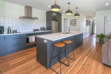 Photo of property in 73 Ritchie Street, Te Aroha, 3320