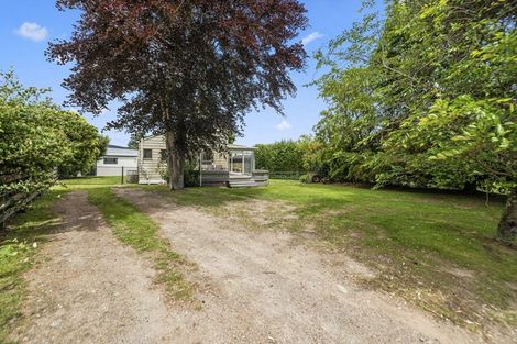 Photo of property in 19 Irwin Place, Kinloch, Taupo, 3377