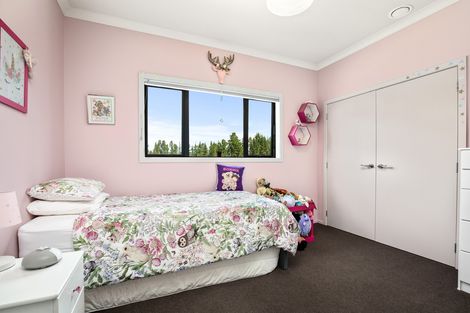 Photo of property in 233 Letts Gully Road, Letts Gully, Alexandra, 9393