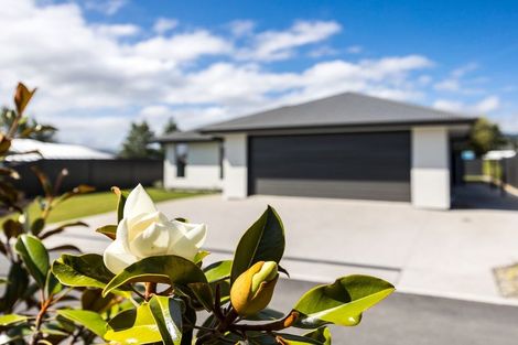 Photo of property in 8 Magnolia Lane, Mosgiel, 9024
