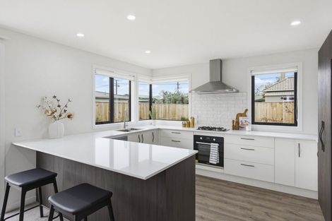 Photo of property in 21a Weraroa Road, Levin, 5510