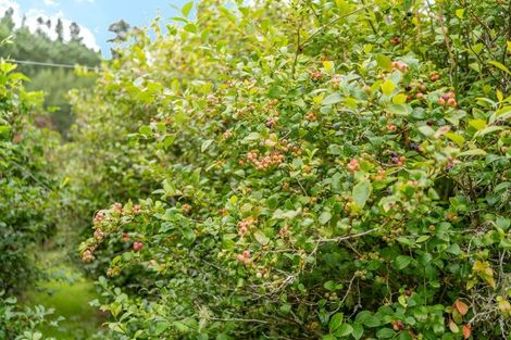 Photo of property in 1229a Akatarawa Road, Akatarawa, Upper Hutt, 5372