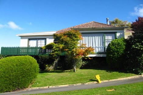 Photo of property in 225 Burt Street, Wakari, Dunedin, 9010