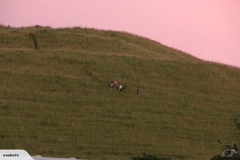 Photo of property in 10 Pikitea Road, Mangere Bridge, Auckland, 2022