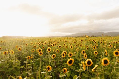 Photo of property in 246 Georges Road, Glasnevin, Amberley, 7482