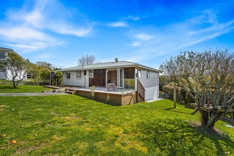 Photo of property in 51 Percy Street, Warkworth, 0910