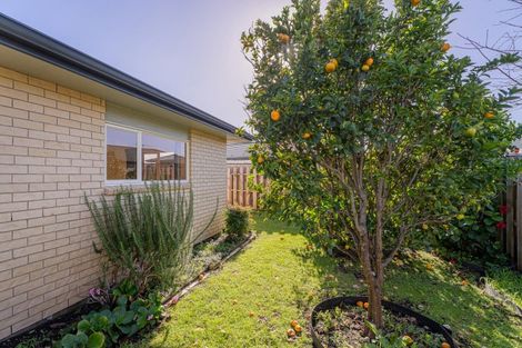 Photo of property in 8 Seascape Avenue, Whitianga, 3510
