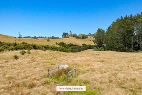 Photo of property in 592 Kanohi Road, Kaukapakapa, 0873