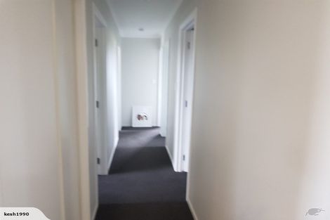 Photo of property in 41 Ladeira Place, Fitzroy, Hamilton, 3206