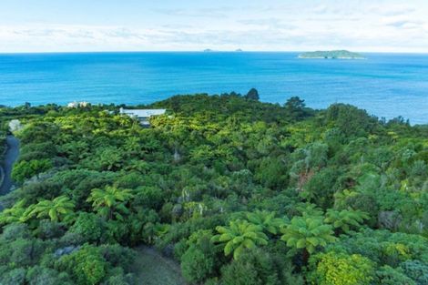 Photo of property in 180 Pumpkin Hill Road, Pumpkin Hill, Whitianga, 3591