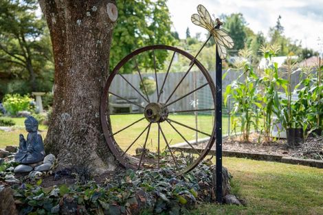 Photo of property in 13 Harrington Street, Lawrence, 9532