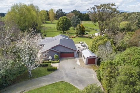 Photo of property in 103 Te Ngaio Road, Bunnythorpe, Feilding, 4775