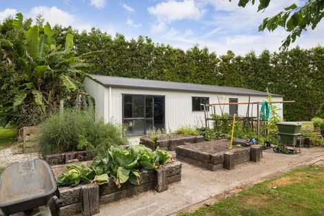 Photo of property in 116 Tuapiro Road, Tahawai, Katikati, 3170