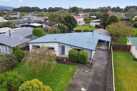 Photo of property in 105 Oxford Street, Ashhurst, 4810