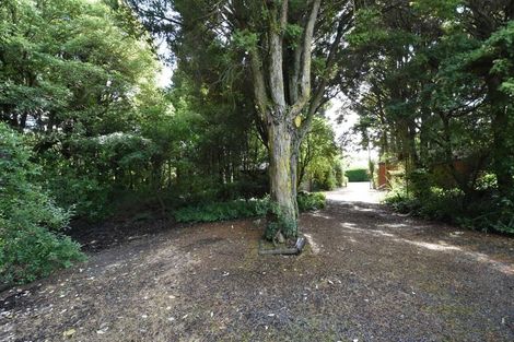 Photo of property in 54 Ariki Avenue, Otatara, Invercargill, 9879