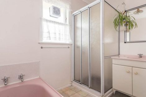 Photo of property in 125 Hutchinson Avenue, New Lynn, Auckland, 0600