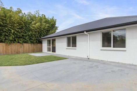 Photo of property in 2/41 Ross Crescent, Fairfield, Hamilton, 3214