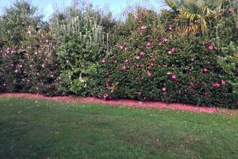 Photo of property in 10 Hornsea Road, Tairua, 3508