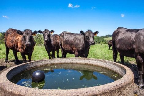 Photo of property in 564 Herepuru Road, Matata, 3194