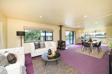 Photo of property in 159 Kawakawa Road, Feilding, 4775