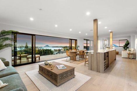 Photo of property in 359 Maungatapu Road, Maungatapu, Tauranga, 3112