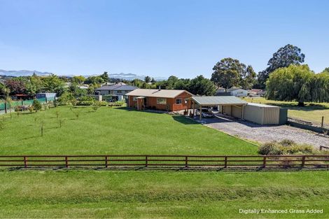 Photo of property in 13 Seymour Street, Hawarden, 7385