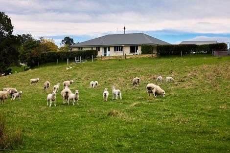 Photo of property in 66 Deer Park Road, Cheviot, 7310