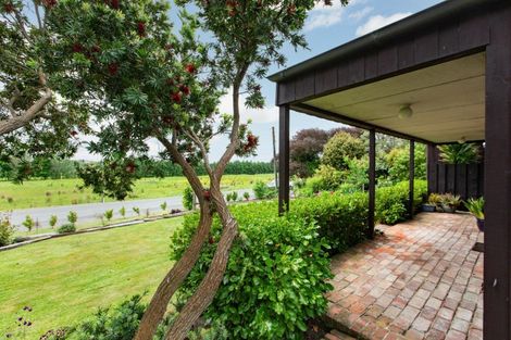 Photo of property in 90 Mount Herbert Road, Waipukurau, 4200