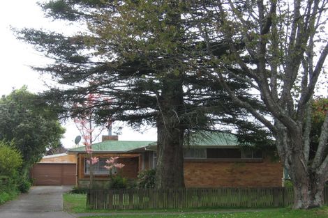 Photo of property in 68 Rawhiti Avenue, Matamata, 3400