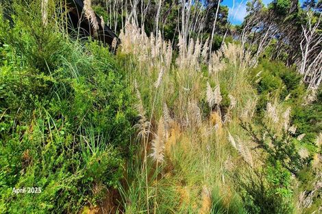 Photo of property in 165 Bon Accord Harbour, Kawau Island, 0920