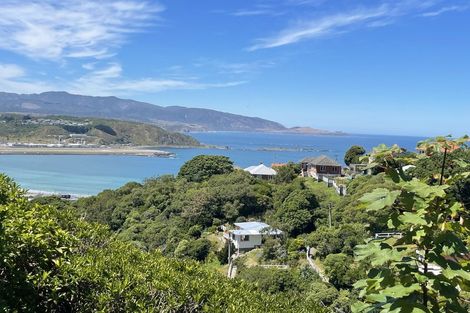 Photo of property in 27 Hornsey Road, Melrose, Wellington, 6023