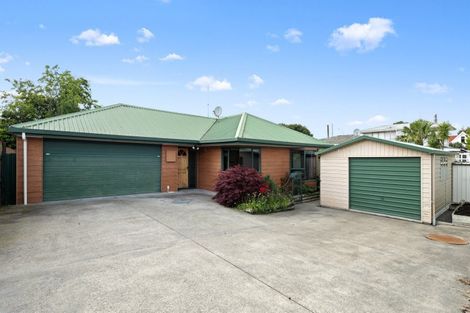 Photo of property in 99 Alfred Street, Blenheim, 7201