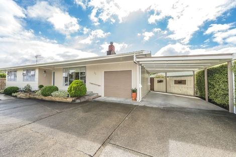 Photo of property in 15 Oaklea Avenue, Marton, 4710